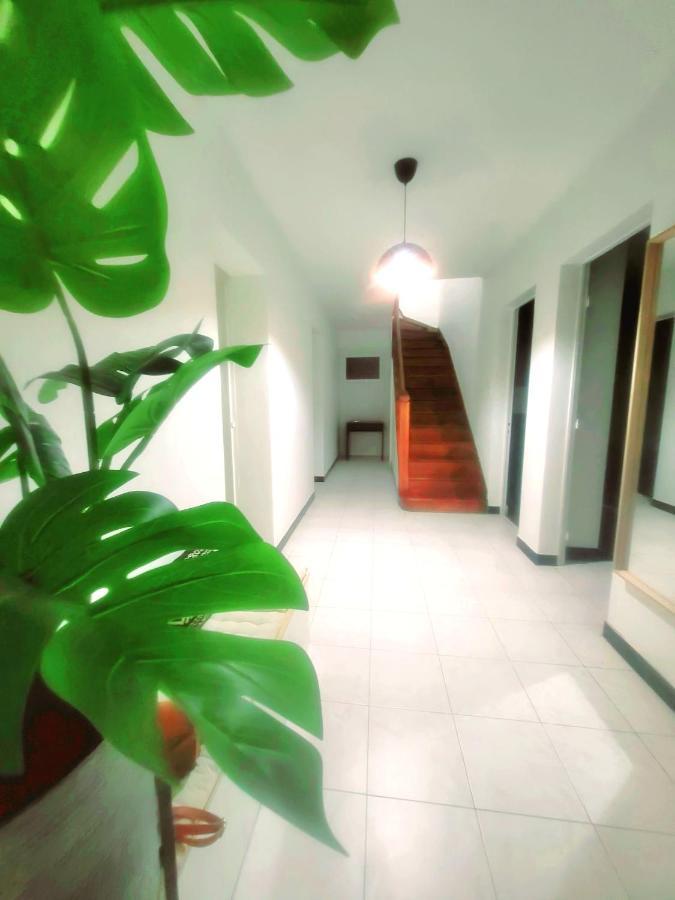 Maison De Charme ตูลูส ภายนอก รูปภาพ